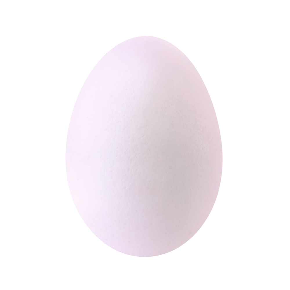 Muna